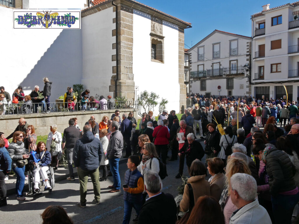 SEMANA SANTA BÉJAR | Multitudinaria procesión de La Borriquilla el Domingo de Ramos - 2 de abril de 2023