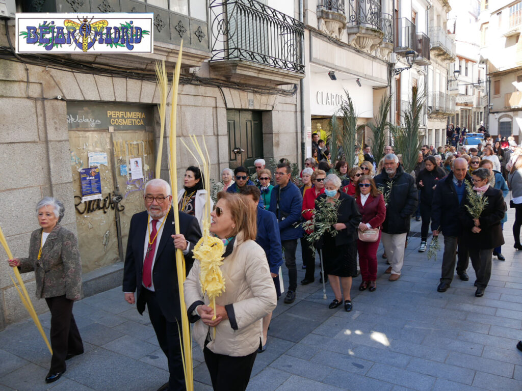 SEMANA SANTA BÉJAR | Multitudinaria procesión de La Borriquilla el Domingo de Ramos - 2 de abril de 2023
