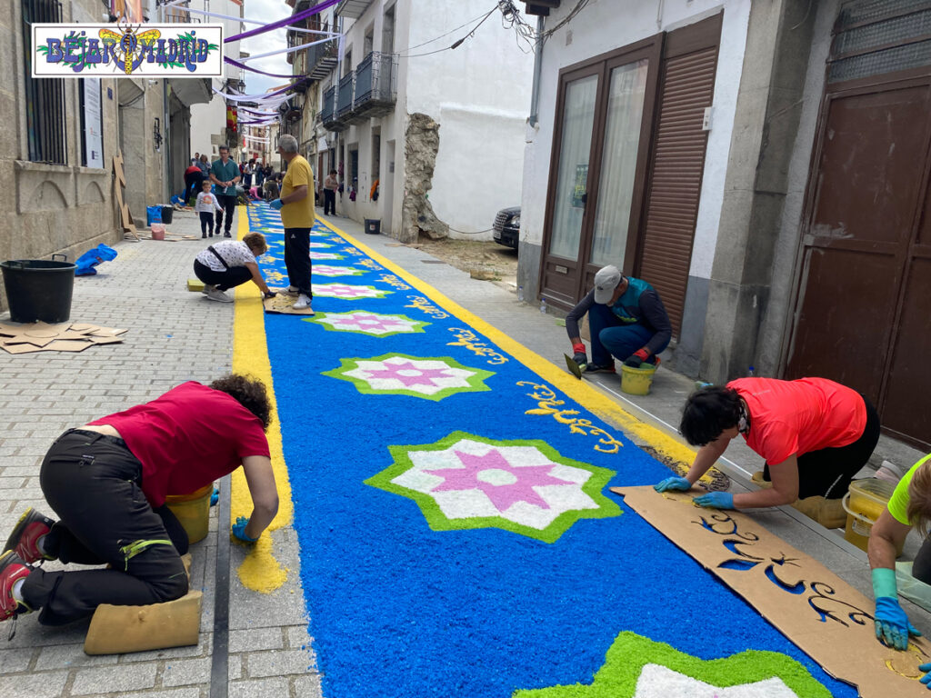 CORPUS BÉJAR Y HOMBRES DE MUSGO | vídeo e imágenes| Decenas de voluntarios trabajan en las alfombras de sal de la Vera Cruz - 10 de junio de 2023