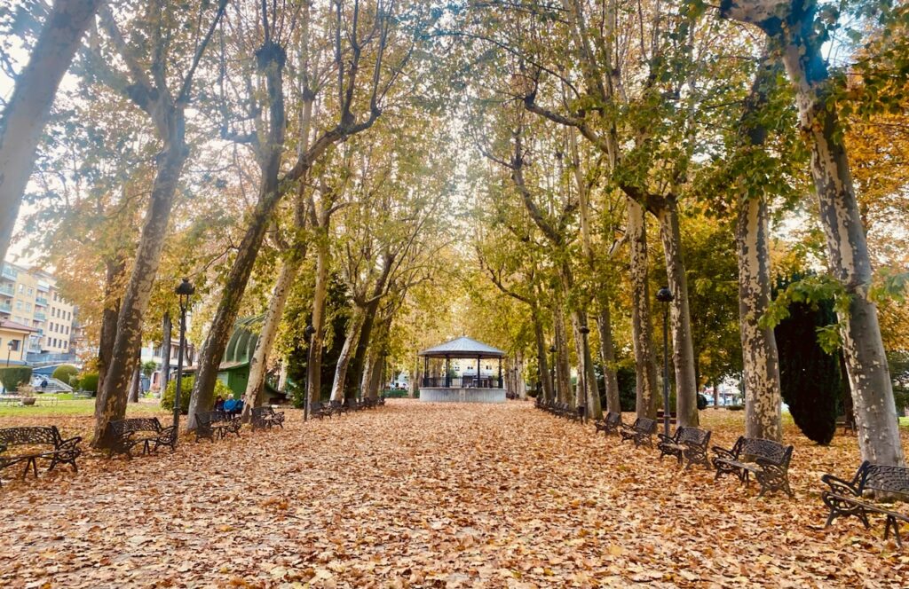 GALERÍA DE IMÁGENES | El otoño deja esta imagen tan bucólica en el parque de La Corredera de Béjar - 17 de noviembre de 2023