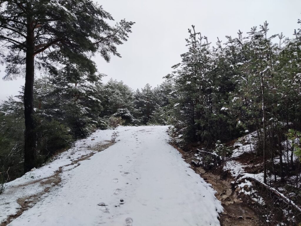 La nieve regresa a la Sierra - 29 de marzo de 2024