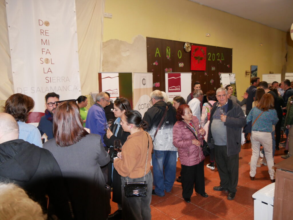 Béjar disfruta de los vinos elaborados en la Sierra en una cata solidaria - 19 de marzo de 2024
